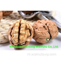 Walnut Kernels Light Amber Helften, geniet van je leven